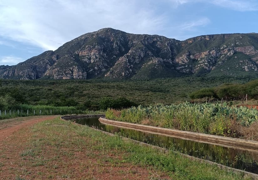 Livramento de Nossa Senhora terá canal de irrigação requalificado com investimento de R$ 36 milhões