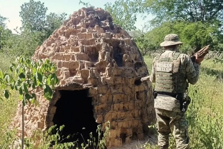 Polícia Ambiental desmantela fornos ilegais de carvão em Ibipitanga
