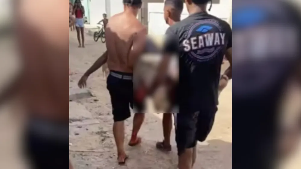 Recife e Olinda: Por que o mar virou território dos tubarões?