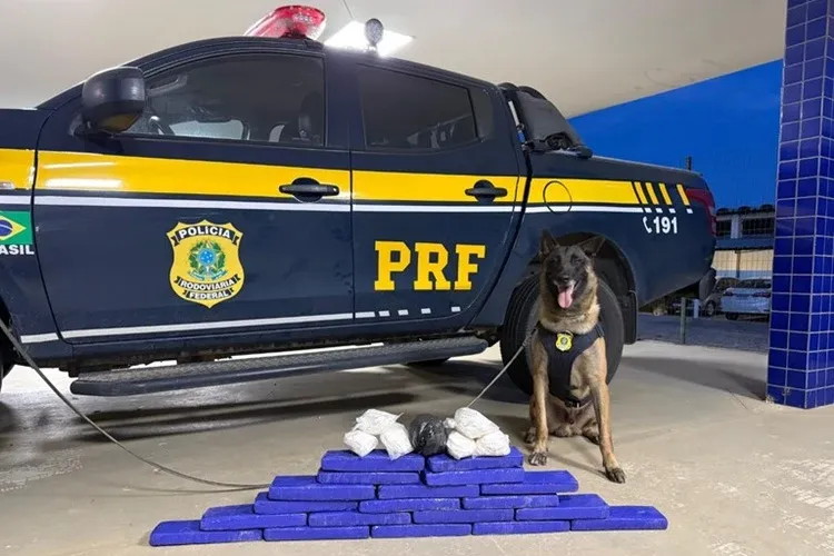 PRF intercepta quase 15 kg de entorpecentes em fiscalização na BR-116, em Vitória da Conquista