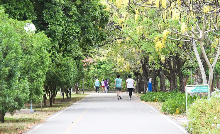 Guia definitivo dos Parques em Recife: Lazer, Esportes e Natureza