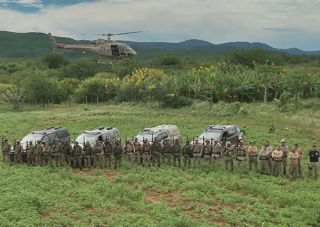 Operação erradica plantio de maconha e apreende 1 tonelada da droga pronta para o comércio na Bahia