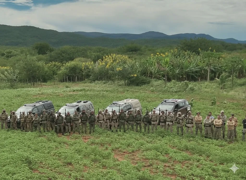 Operação erradica plantio de maconha e apreende 1 tonelada da droga pronta para o comércio na Bahia