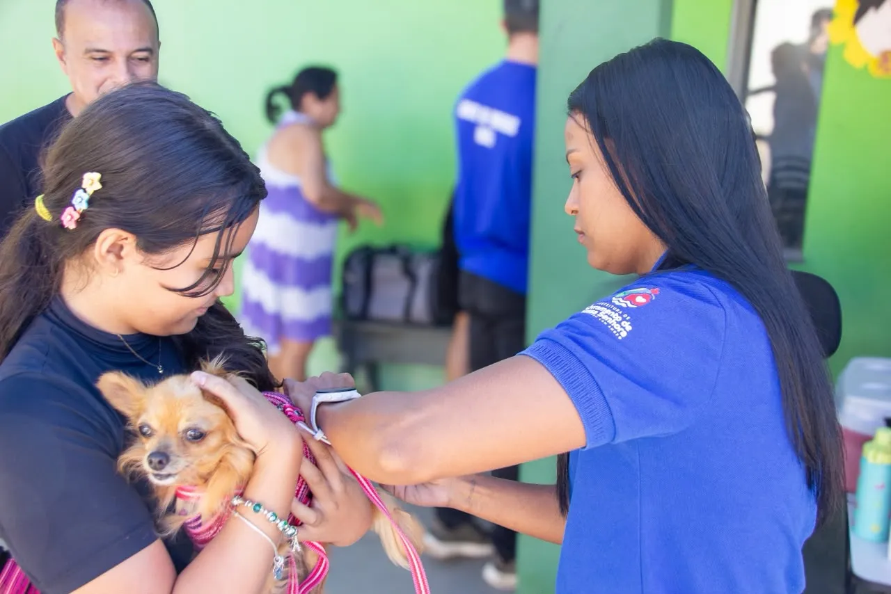 Dia D da Vacinação Antirrábica mobiliza tutores de cães e gatos em Livramento de Nossa Senhora