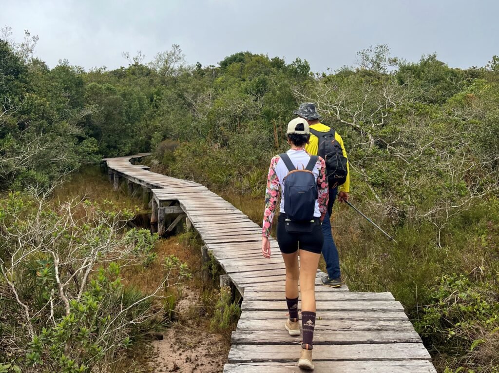 Flora na trilha da Fumaça