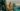 Winners of Wildlife Photographer of the Year 2022