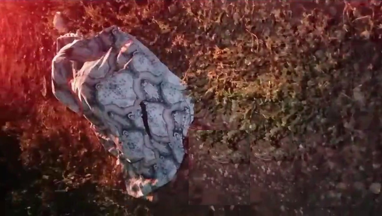 Feminicídio em Caturama: Tragédia Abala Comunidade Rural
