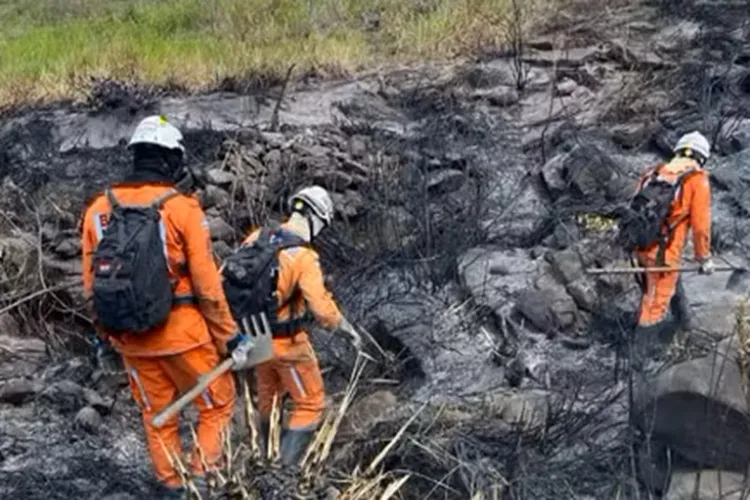 Incêndio de Grandes Proporções na Chapada Diamantina é Controlado Após 48 Horas de Combate