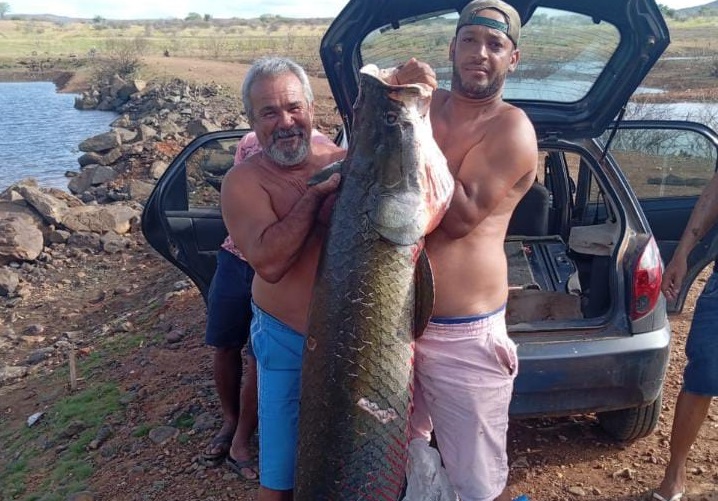 Pescadores de Livramento capturam gigantesco Pirarucu na Barragem do Paulo