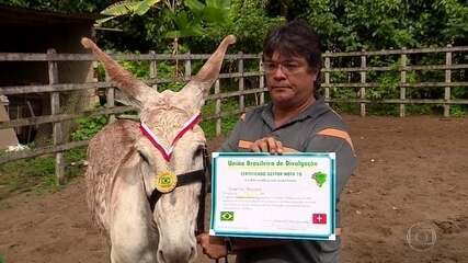 TCM Investiga Municípios da Bahia por Gastos com Premiações de “Melhor Gestor”