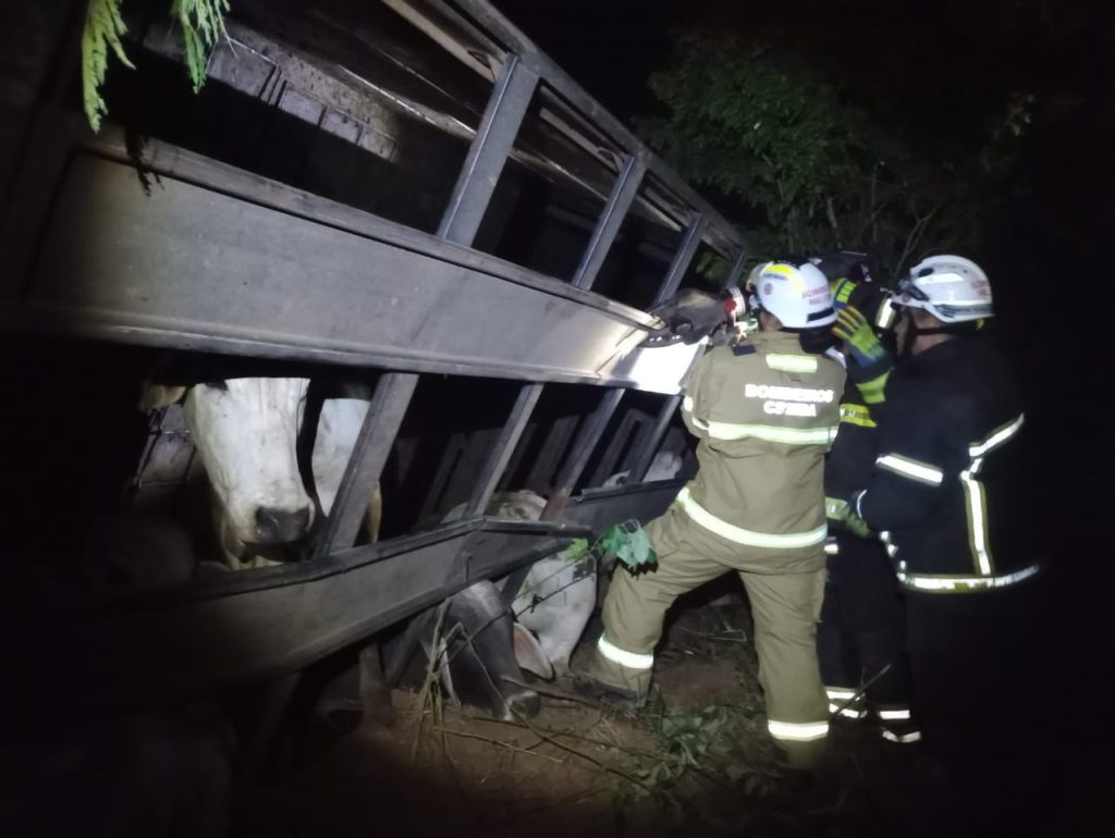 Acidente na BR-349 mobiliza resgate de mais de 60 animais