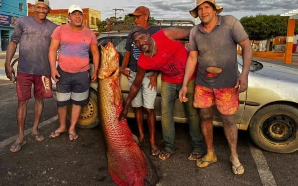 Pescadores de Malhada capturam pirarucu gigante de 92 kg no Rio São Francisco