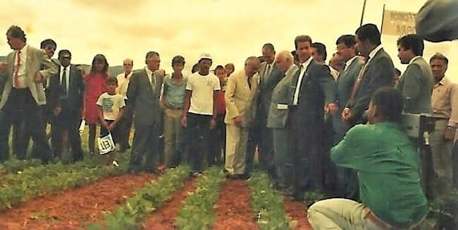 José Sarney caminha entre as plantações irrigadas de Livramento de Nossa Senhora em 1989, durante a inauguração do Perímetro Irrigado do Brumado.