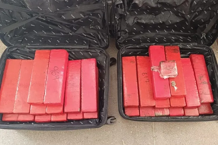Polícia Militar apreende 28 kg de maconha em Urandi e reforça segurança para o São João do Gurutuba