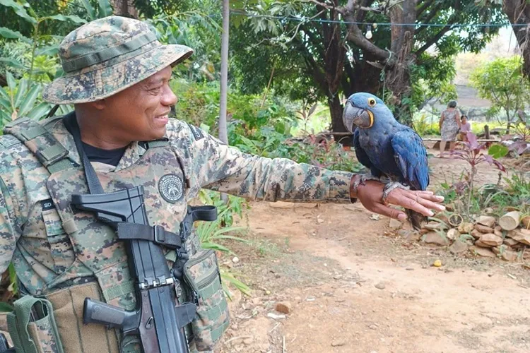 Cippa encontra arara-azul e outros animais silvestres em cativeiro na zona rural de Livramento de Nossa Senhora
