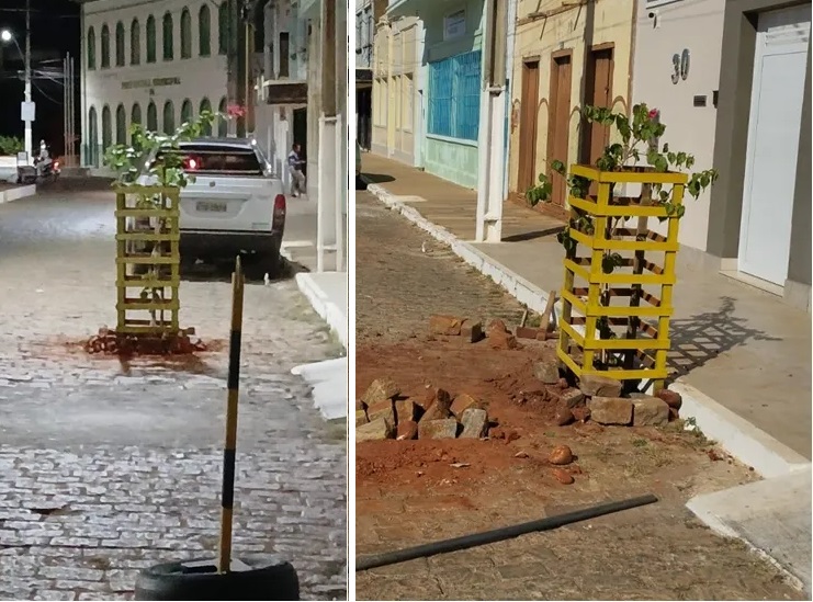 Imagem comparativa mostrando a árvore plantada no meio da rua na Praça Dom Hélio Pascoal, em Livramento de Nossa Senhora.
